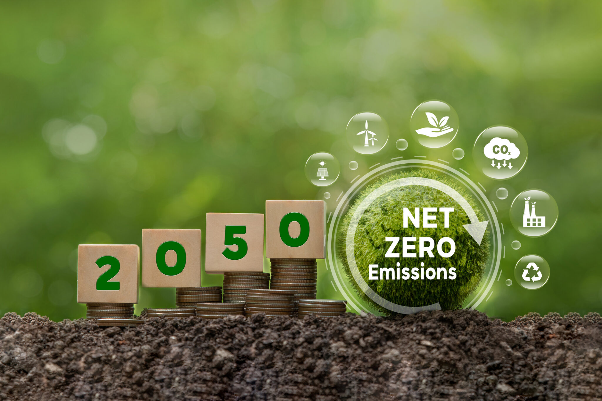 Net-zero and sustainability focused delivery